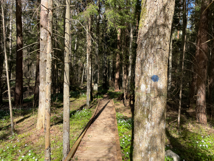 Audaku matkarada, Estonia